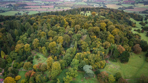 An aerial view of The Clump at Killerton